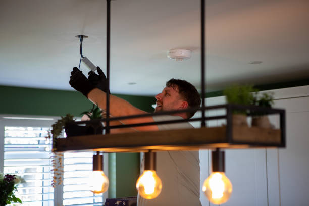 Best Generator Installation Services  in Petersburg, MI
