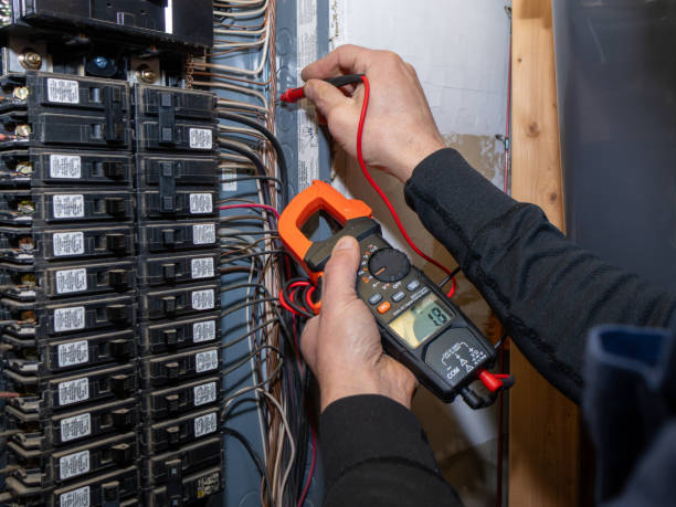Best Electrician for Home Renovation  in Petersburg, MI