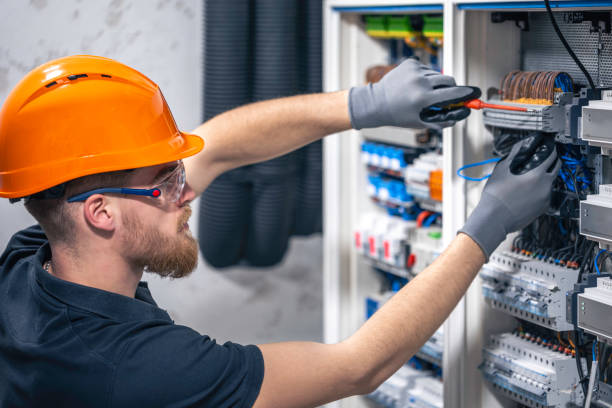 Best Residential Electrician Services  in Petersburg, MI
