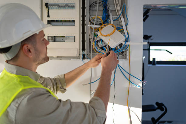 Best Electrical Rewiring Services  in Petersburg, MI